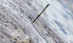 Guru Feederlinks -Visproducten Winkel guru feederlinks 2