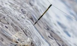 Guru Feederlinks -Visproducten Winkel guru feederlinks 6