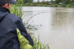 Matrix Ethos XR-C Bomb 9ft/2.70m - 30gr -Visproducten Winkel matrix ethos xr c bomb 9ft 270m 30gr 9