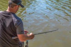 Ignition -Visproducten Winkel preston innovations ignition 3