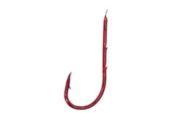 Worm 45cm -Visproducten Winkel worm 45cm 5